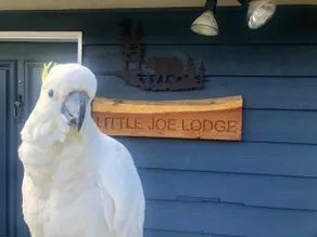 Little Joe Lodge, Warburton - Image 2