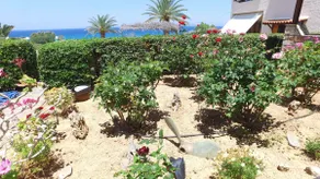 Villa Katerina Holiday Apartments - Image 4