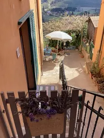 Plumbago Studio - Image 5