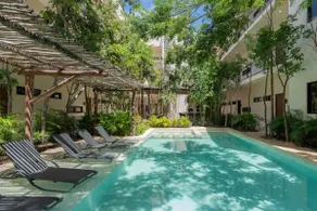 Luxury apartment/middle of the jungle 24/7 safe - Image 3