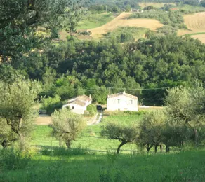 Detached Villa with pool - Image 2