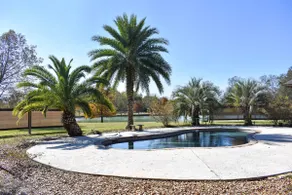 Youngsville Retreat- pool, private pond, outdoor fireplace - Image 5