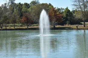 Youngsville Retreat- pool, private pond, outdoor fireplace - Image 4