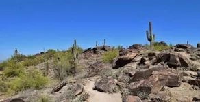 Modern Mountain Escape atop South Mountain - Image 5