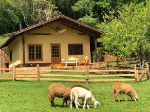 Eco Friends Site - Image 2