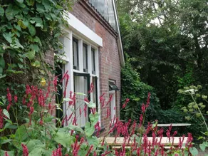 Farmhouse with extra guesthouse Buurse - Image 3