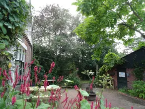 Farmhouse with extra guesthouse Buurse - Image 5