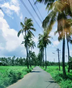 Cozy2bhk 2Min2WhiteSand Beach, Ur South Goa Escape - Image 2