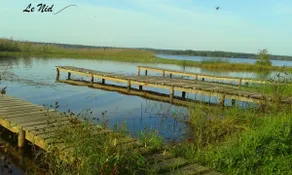 The Nest of the Lake - Image 4