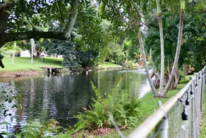 Tropical Oasis with Heated Salt Water Pool & Bar! - Image 3
