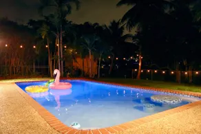 Tropical Oasis with Heated Salt Water Pool & Bar! - Image 5