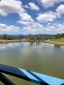 Sitio União da Ilha - Image 4