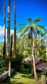 Melbourne Topview Villa in Dandenong ranges near Skyhigh - Image 4