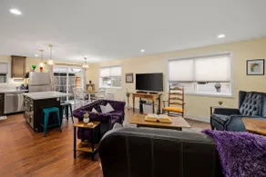 The Cats Meow - Image 4