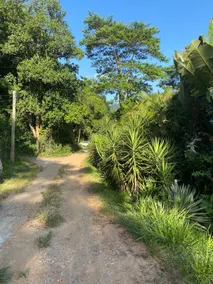 Corner in nature near the best beaches - Image 2