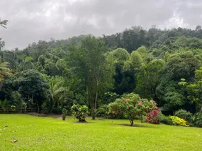 Riverside Dream-Río Toa Vaca (River) - Image 2