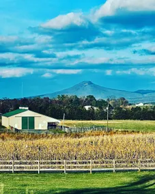 Shenandoah Valley Farmhouse · Hot Tub · Sleeps 8 - Image 2