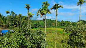 A greener corner of the earth. Offering best views - Image 3