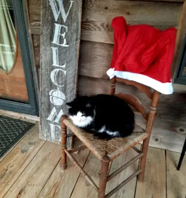 Cozy cabin on the hill! Free Wifi! - Image 3