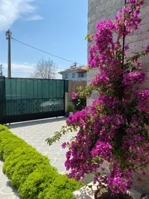 Villa Kalinda Your Private Sheltered Luxury Villa with Pool Minutes Away from Dalaman Airport - Image 2