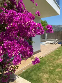 Villa Kalinda Your Private Sheltered Luxury Villa with Pool Minutes Away from Dalaman Airport - Image 3
