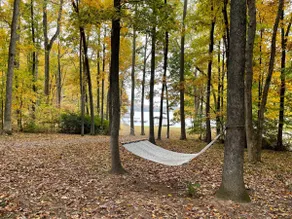 License To Chill - Lakefront/Screened in Porch - Image 3
