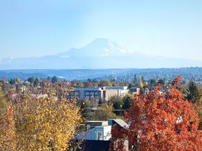 Capitol Hill private terrace & mountain views - Image 5
