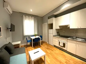 Apartamentos Principe 1-2, 2nd floor (Temporary Lease) - Image 5