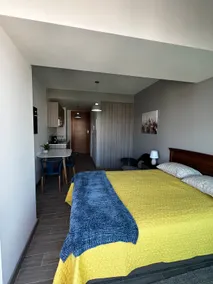 VIP apartment near the mall plaza area - Image 2