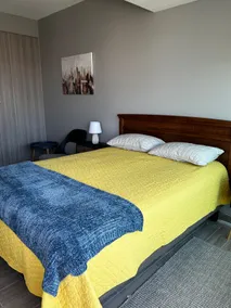 VIP apartment near the mall plaza area - Image 4