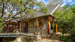 The Treehouse - Image 3