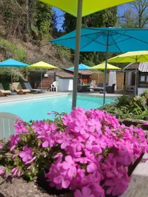 Nice studio, view of the plain of Alsace/pool - Image 3