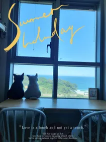 Room with sunrise view #Sunrise #Trustay #High-rise ocean view #3-minute walk from Hansom Beach #Netflix #12 pm check-out - Image 3