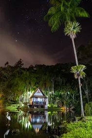 Lake Side Cabin - Nature Experience - Image 2