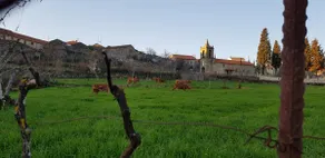 Village of Moura Morta - Image 4