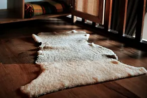 Comfortable homes with gardens and fireplaces #Little Bear - Image 5