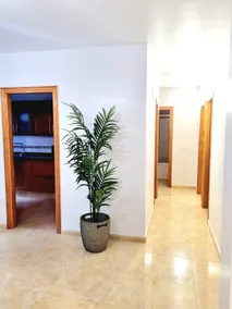 Las Inglesitas - Image 4
