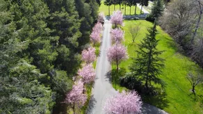 Escape to Spring Gate Estate - Image 2