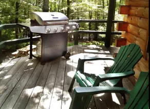 Poconos Log Cabin Getaway - Image 4