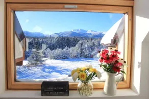 Stylish Apartment with INCREDiBLE Mountain Views - Image 4