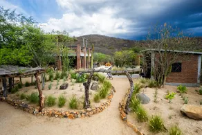 Boutique rancho in Historic El Triunfo with Views! - Image 4