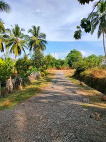 Krishna Kunja - Image 2