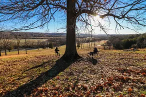 Gate Cottage, private getaway in a stylish new home w/views, hiking and a creek. - Image 2