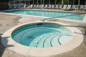 Stunning Ocean View ~ Saltwater Pool ~ Elevator! - Image 4
