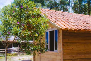 Charming Cottage on the Farm | Air Conditioning, Barbecue Grill, 4K TV - Image 2