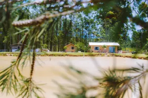 Charming Cottage on the Farm | Air Conditioning, Barbecue Grill, 4K TV - Image 5