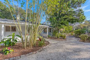Tropical Retreat w/ charming garden near downtown. - Image 2