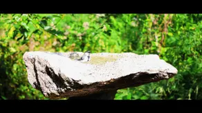 Limestone Villa, Onsen with Garden view 182 ㎡ - Image 2