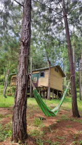 Gulunga country house - Image 5