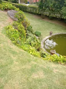 House in Secretário, RJ - Image 3